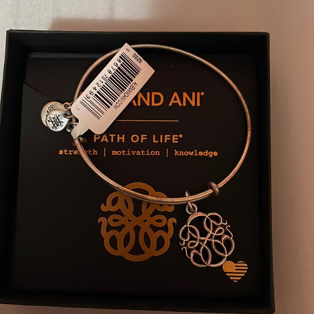 Path of Life Alex and Ani bracelet